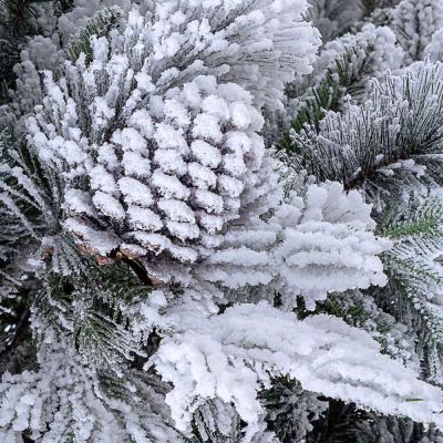 Albero di Natale innevato modello Arves H210 cm